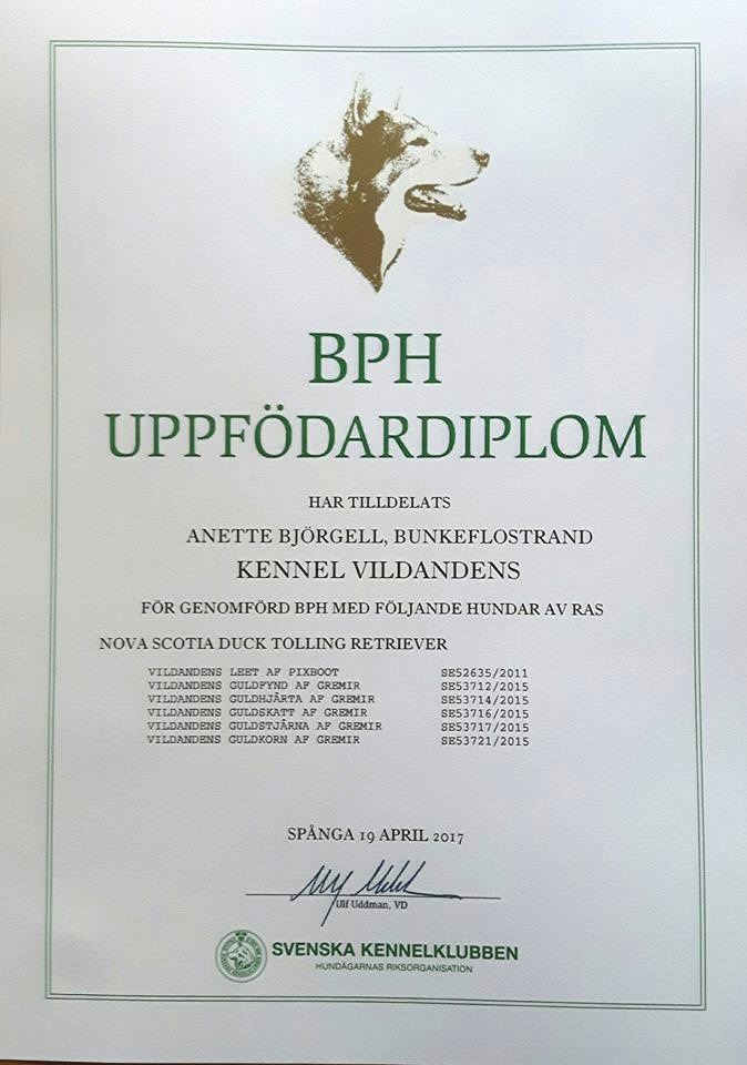 bph-diplom1