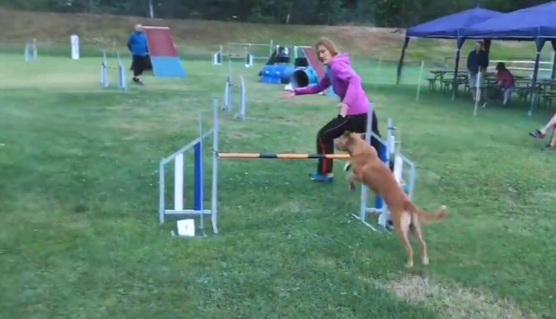 kayleigh-agility1-180707